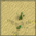 sabaku.png sabaku.png