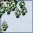 setsugen.png setsugen.png